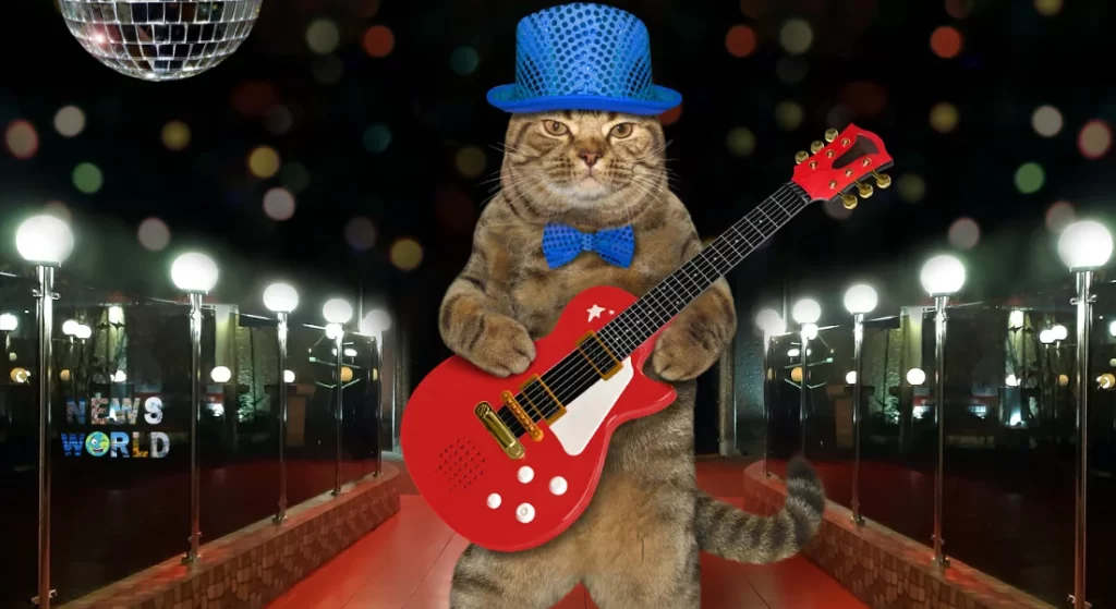 Як правильно вибрати гітару для початківця?